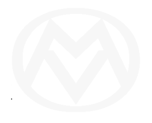 Magneto Motor